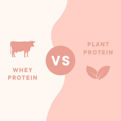 Whey Protein vs. Plant Protein - What's The Difference?