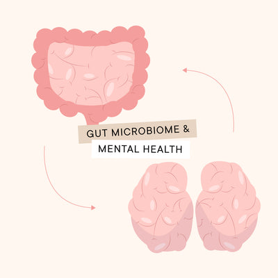 The Connection Between Your Gut Microbiome & Mental Health