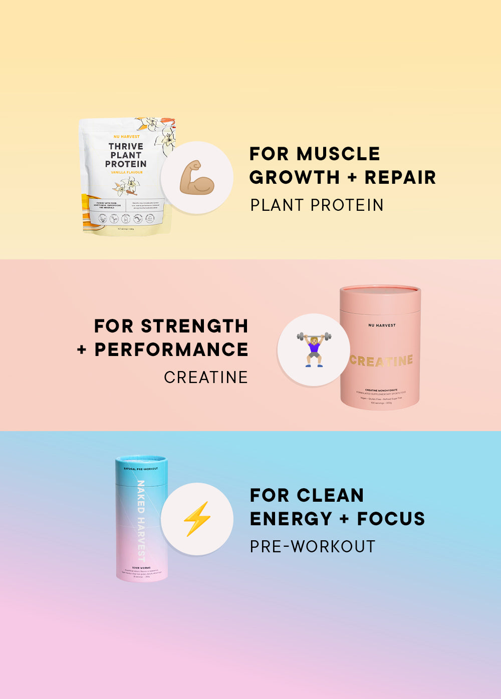 Gym Essentials Bundle