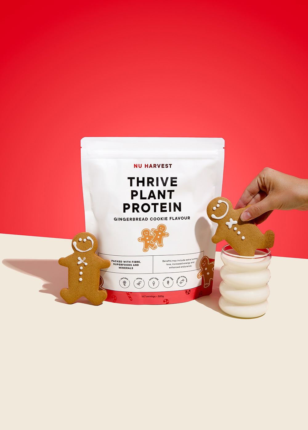Gingerbread Plant Protein