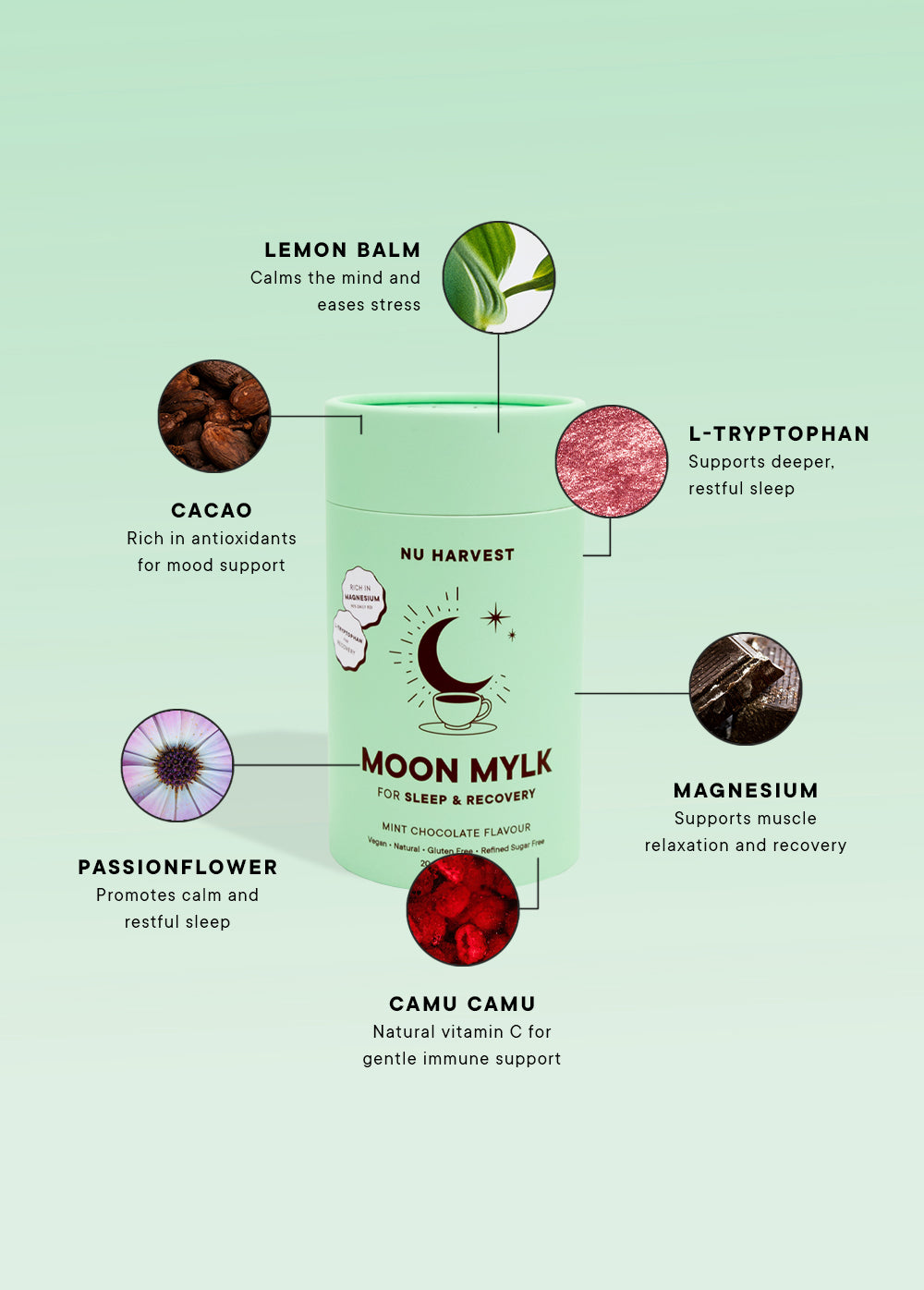 Choc Mint Moon Mylk