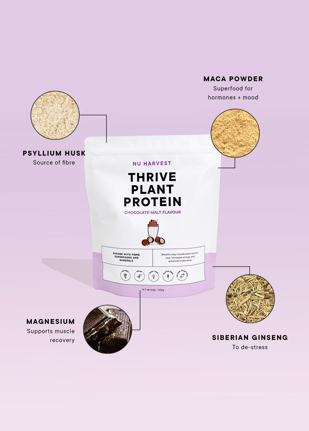 Choc Malt Plant Protein