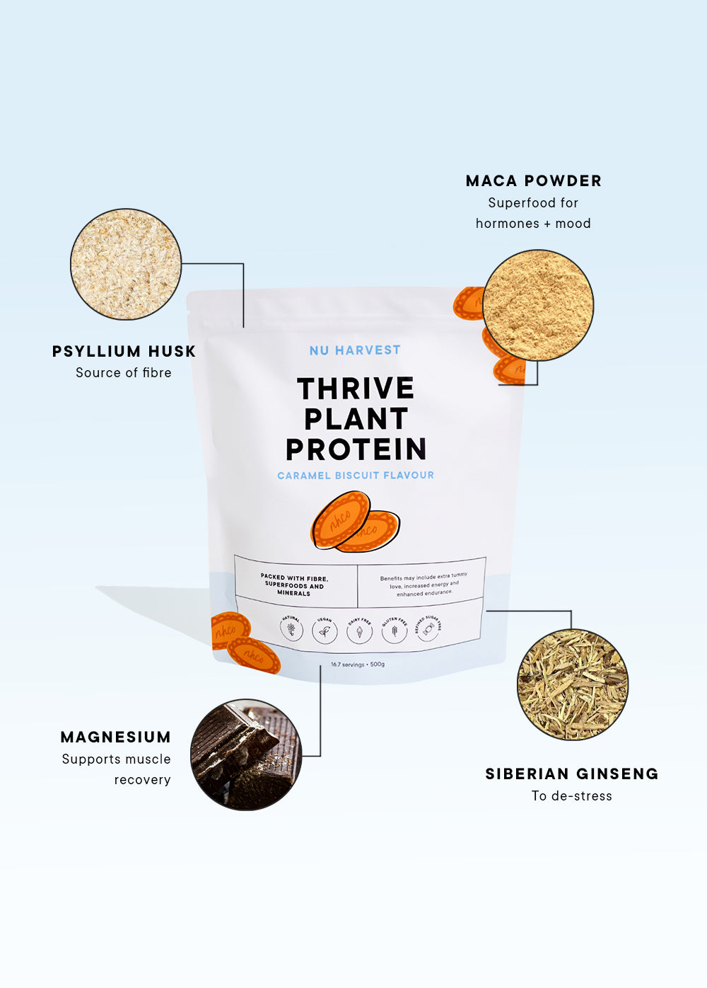 Caramel Biscuit Plant Protein