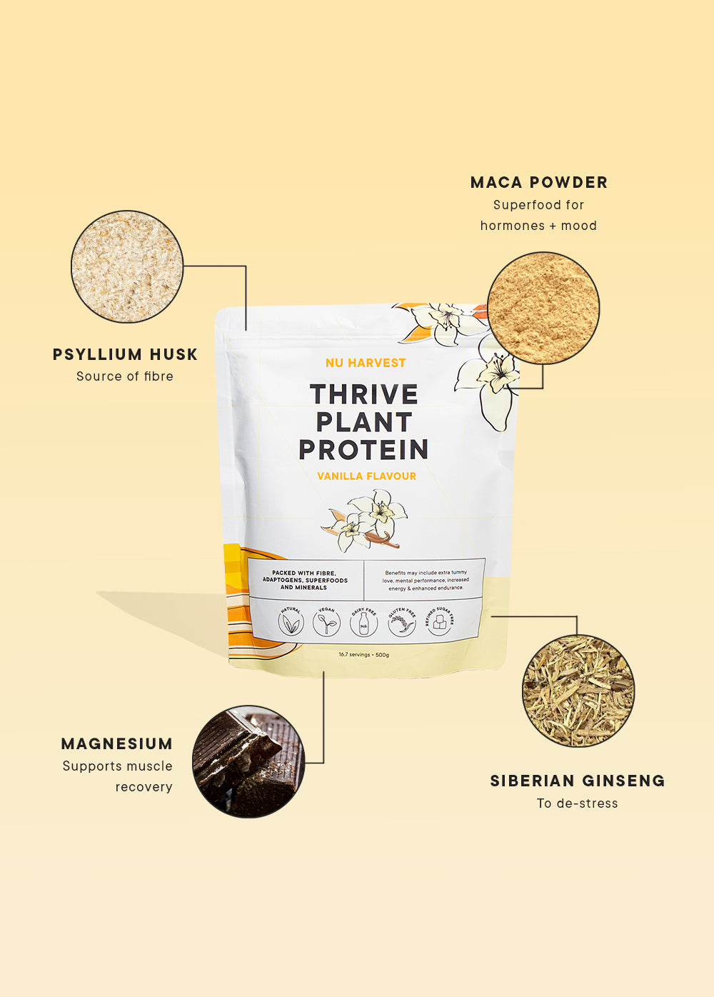 迷迭香 マンネンロウ NYRON HARVEST TRAINER 迷迭香 マンネンロウ NYRON HARVEST TRAINER