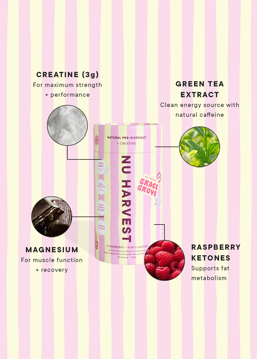 NH x Grace Grove Bundle